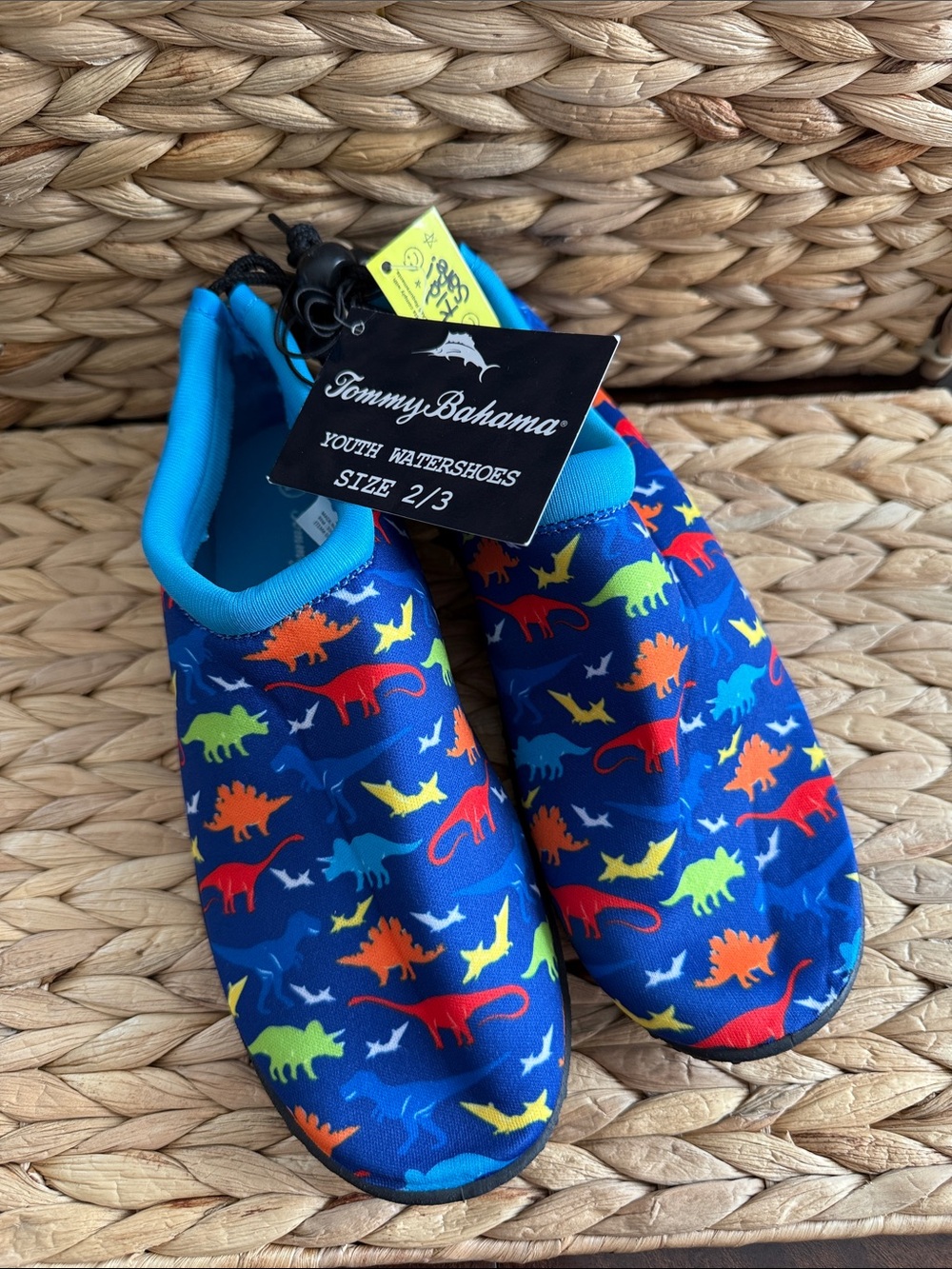 Tommy Bahama Kids' Blue Dinosaur Water Shoes